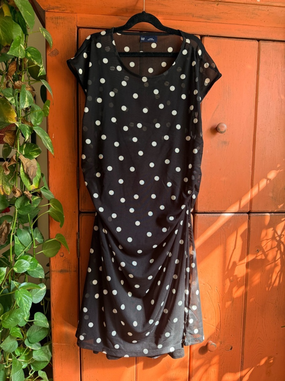 Gap Polka Dot Short-Sleeve Black Mesh Dress